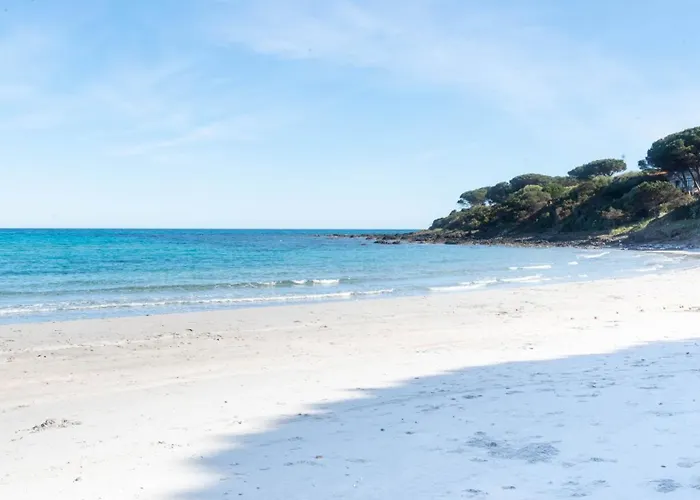 I Pini Di Fuile \'E Mare